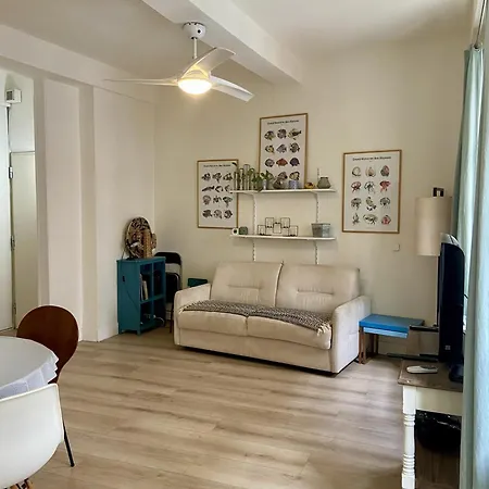 Joli Nicois En Bord De *